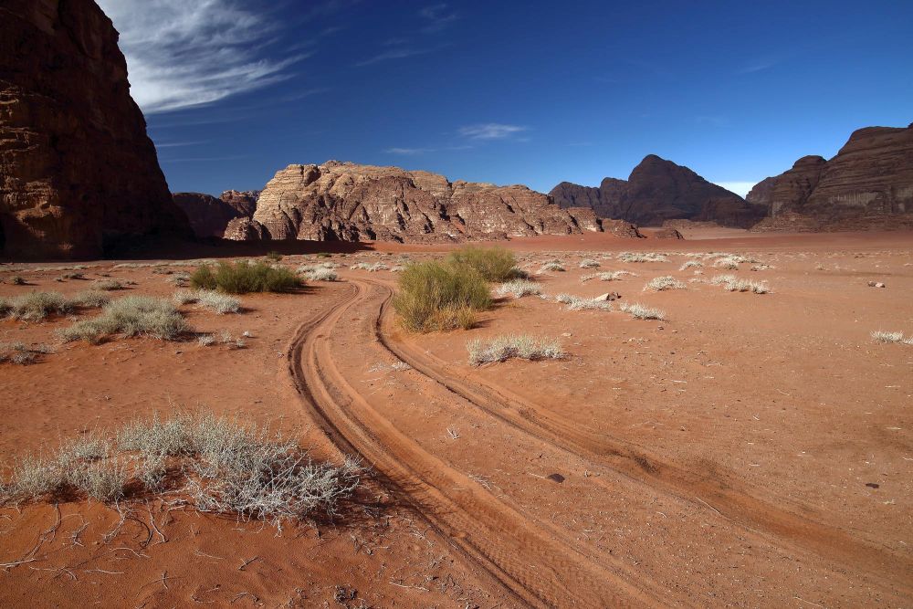 Wadi Rum jeep tracks