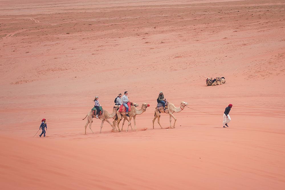 trip on camels